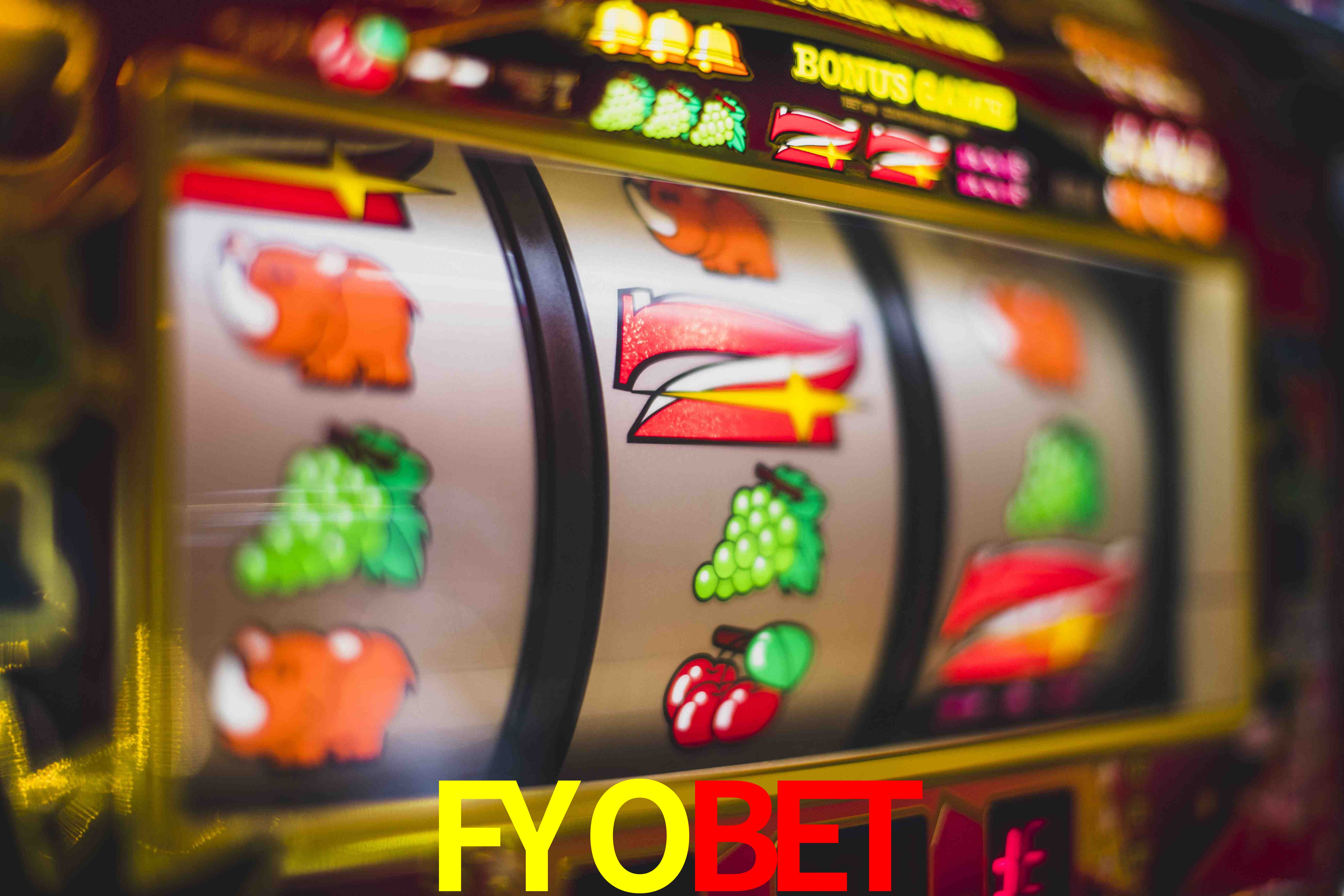 Statistics FYOBET